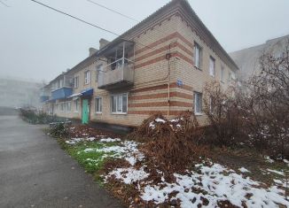 Продам 3-комнатную квартиру, 45 м2, Михайловск, улица Пушкина, 3