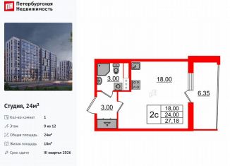 Продаю квартиру студию, 24 м2, Санкт-Петербург, метро Озерки