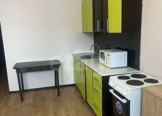 Сдам в аренду квартиру студию, 25 м2, Кудрово, Столичная улица, 6к2