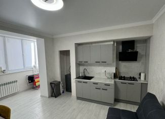 Аренда 1-комнатной квартиры, 50 м2, Черкесск, Октябрьская улица, 384А