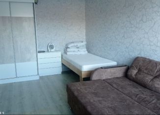 Сдаю в аренду 1-ком. квартиру, 40 м2, Еврейская АО, улица Денисова, 15Б