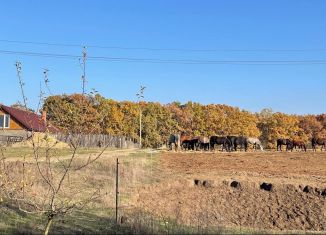 Продаю участок, 6 сот., станица Новодмитриевская