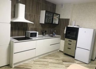 1-ком. квартира в аренду, 42 м2, Тольятти, улица Ленина, 57