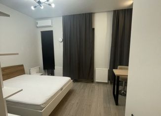 Сдается квартира студия, 25 м2, деревня Сапроново, Калиновая улица, 5