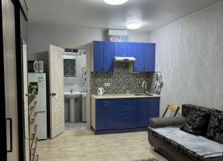 Сдаю квартиру студию, 25 м2, Сочи, Первомайская улица, 31