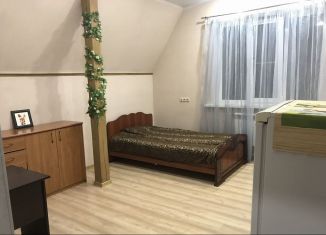 Сдаю квартиру студию, 25 м2, Балашиха, улица Лукино, 63