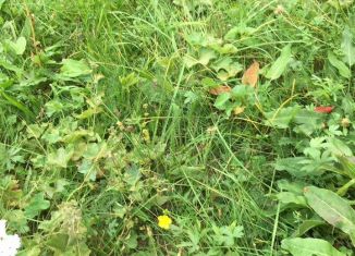 Продаю дом, 100 м2, Санкт-Петербург, Приморский район, 2-я Семёновская улица, 18