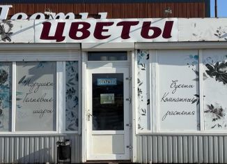 Продажа торговой площади, 18 м2, село Родниково, улица Амет-Хана Султана, 7
