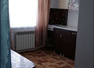 Продается 1-комнатная квартира, 28.6 м2, село Павловск, Зеркальная улица, 24