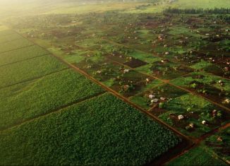 Продаю земельный участок, 8 сот., станица Новодмитриевская, Садовая улица
