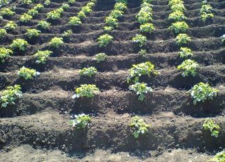 Участок на продажу, 4.5 сот., Кумертау