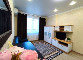 1-комнатная квартира в аренду, 42 м2, село Мирное, улица Крымской Весны, 5к4