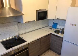 1-комнатная квартира в аренду, 36 м2, деревня Новое Девяткино, Арсенальная улица, 4, ЖК Девяткино