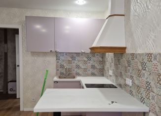 Квартира в аренду студия, 24.2 м2, Мурино, ЖК Авиатор, Ручьёвский проспект, 2