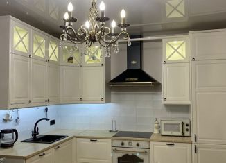 Продам 1-ком. квартиру, 44.7 м2, Санкт-Петербург, ЖК Триумф Парк, Среднерогатская улица, 13к1