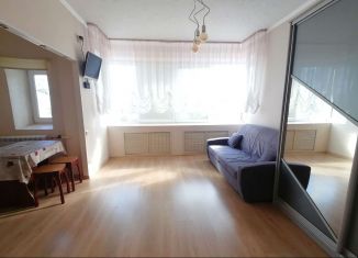 Сдается однокомнатная квартира, 27 м2, Выборг, улица Некрасова, 10