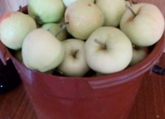 Продаю дачу, 26.5 м2, поселок городского типа Рудничный, Железнодорожная улица