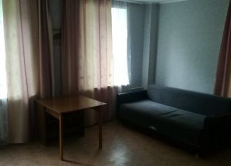 Сдача в аренду 1-комнатной квартиры, 35 м2, Новосибирск, улица Добролюбова, 255