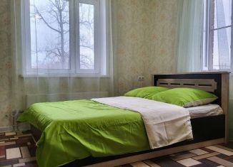 Сдача в аренду однокомнатной квартиры, 39 м2, Калужская область, улица Курчатова