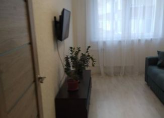 Сдача в аренду однокомнатной квартиры, 28 м2, Новосибирск, Тульская улица, 80, ЖК Тульский