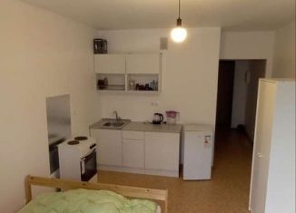 Аренда квартиры студии, 25 м2, Мурино, Екатерининская улица, 8к1, ЖК Три кита