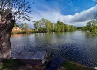 Продаю дом, 74 м2, деревня Маевка, Зелёная улица