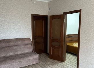 Однокомнатная квартира в аренду, 35 м2, село Верхневесёлое, Ворошиловградская улица, 236А