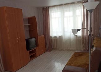 Сдается 2-ком. квартира, 50 м2, Новосибирск, улица Гоголя, 45А, метро Маршала Покрышкина