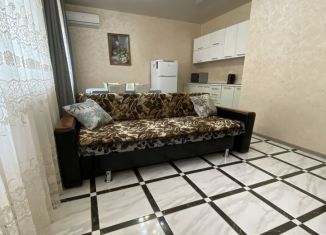 Сдается в аренду двухкомнатная квартира, 63 м2, Краснодар, Бородинская улица, 10, микрорайон КСК