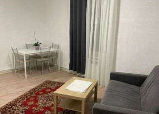 Аренда 1-ком. квартиры, 30 м2, деревня Малые Вязёмы, Можайское шоссе