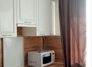 1-комнатная квартира в аренду, 36 м2, поселок Верхнетемерницкий, улица Венеры, 24к16, ЖК Спутник