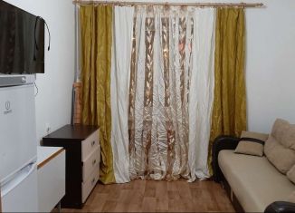 Квартира в аренду студия, 18.7 м2, Екатеринбург, улица Токарей, 33, улица Токарей