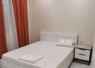 Сдам 1-ком. квартиру, 25 м2, Сочи, Православная улица, 14А, микрорайон Энергетик-Изумруд