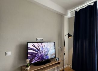 1-ком. квартира в аренду, 32 м2, Санкт-Петербург, Апрельская улица, 5, Апрельская улица