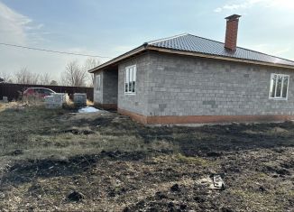 Продается дом, 170 м2, СНТ Металлург