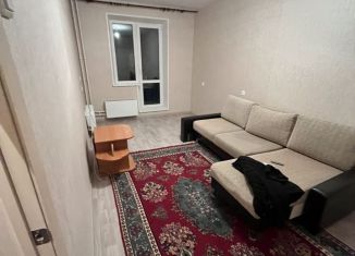 1-комнатная квартира в аренду, 30 м2, село Долгодеревенское, Больничная улица, 10