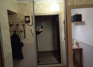 Двухкомнатная квартира в аренду, 48 м2, Екатеринбург, улица Серова, 39, улица Серова