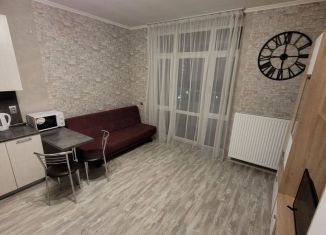 Сдам квартиру студию, 30 м2, Екатеринбург, улица Азина, 22/2, ЖК Мельница