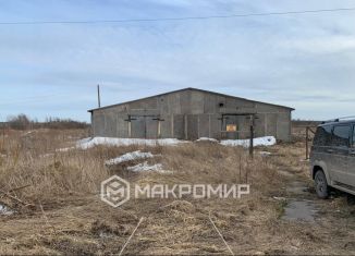 Продаю участок, 100 сот., деревня Доможирово