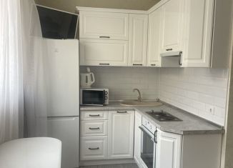 Сдача в аренду квартиры студии, 26.2 м2, посёлок городского типа Сириус, улица Тюльпанов, 25