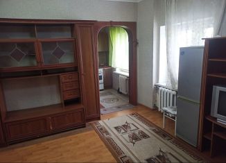 Аренда 2-комнатной квартиры, 48 м2, Новосибирск, Республиканская улица, 1, метро Маршала Покрышкина
