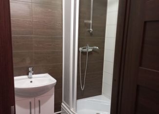 Продажа квартиры студии, 24.5 м2, Санкт-Петербург, проспект Будённого, 19к1, ЖК Солнечный Город