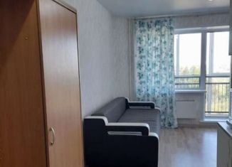 Квартира в аренду студия, 25 м2, Новосибирская область, улица Титова, 257