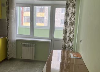 Аренда двухкомнатной квартиры, 52 м2, Йошкар-Ола, улица Димитрова, 62, 6-й микрорайон