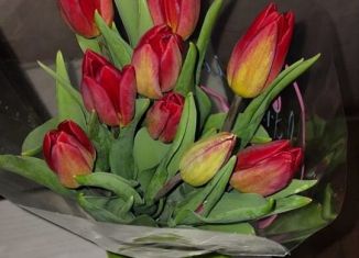 Продается гараж, 30 м2, Полярный, площадь Победы