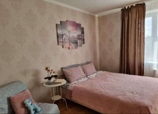 Сдается однокомнатная квартира, 42 м2, Санкт-Петербург, проспект Сизова, 21к2