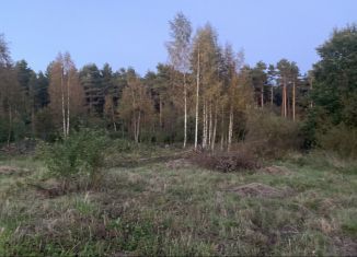 Участок на продажу, 10 сот., деревня Выбье, деревня Выбье, 17А