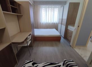 1-комнатная квартира в аренду, 30 м2, деревня Щемилово, улица Орлова, 10