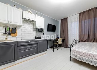 Квартира на продажу студия, 24 м2, Мурино, проспект Авиаторов Балтики, 31