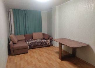 Квартира в аренду студия, 24 м2, Мурино, улица Шоссе в Лаврики, ЖК Муринское-1